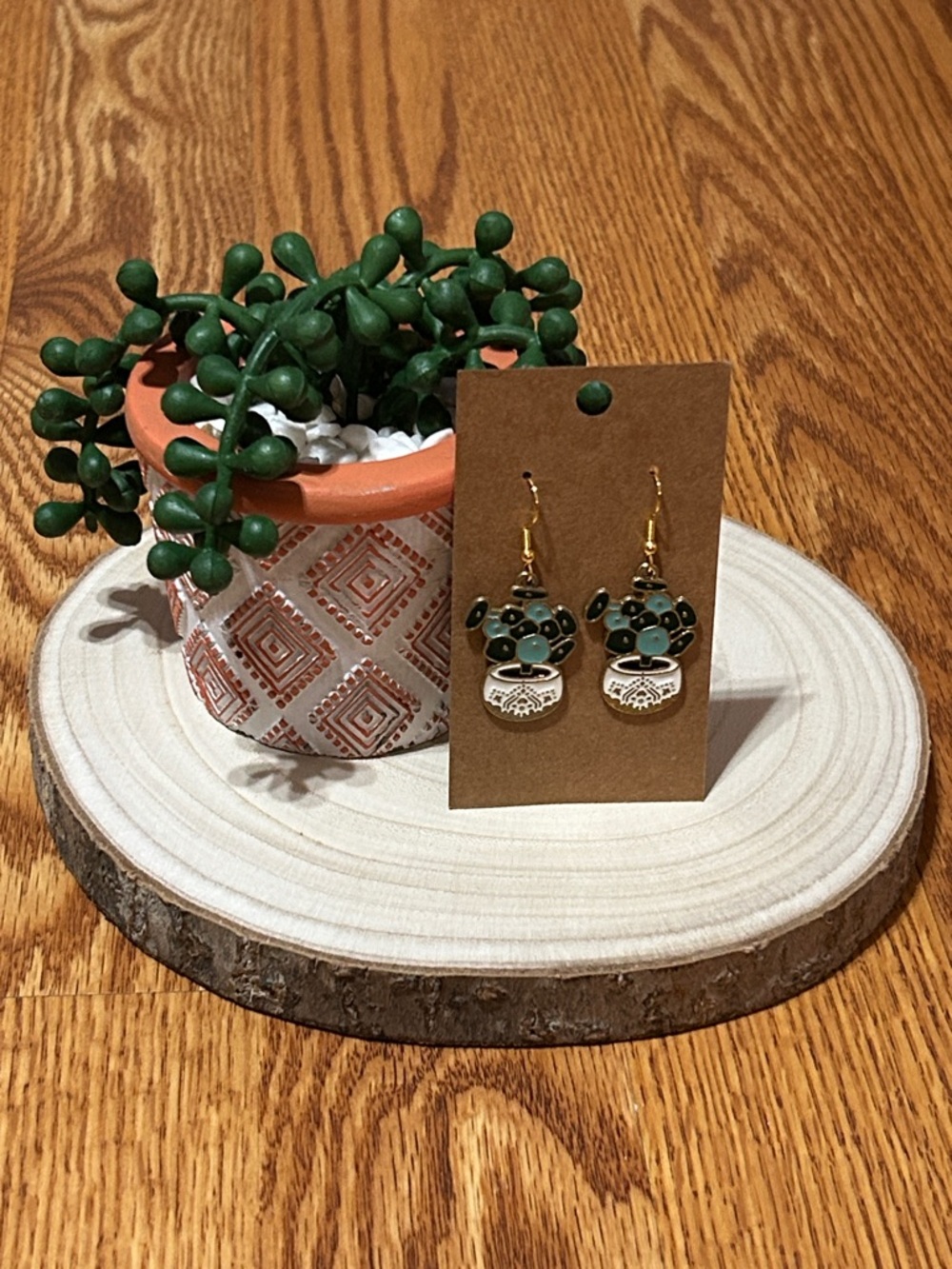 New Lightweight Fashionable Succulent Hypoallergenic Earrings & Artificial Plant